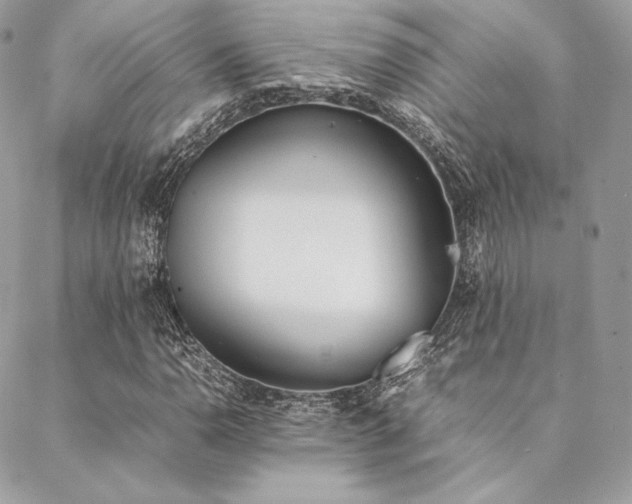 X0000089401110200706151220