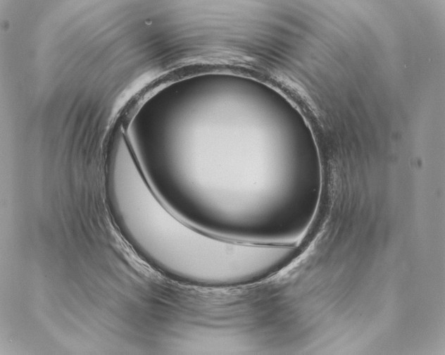 X0000089401114200706151220