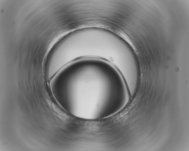 X0000089401116200706151220