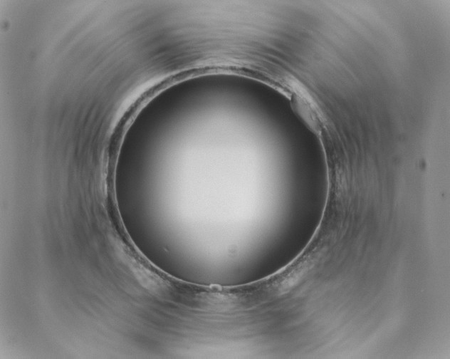 X0000089401124200706151220