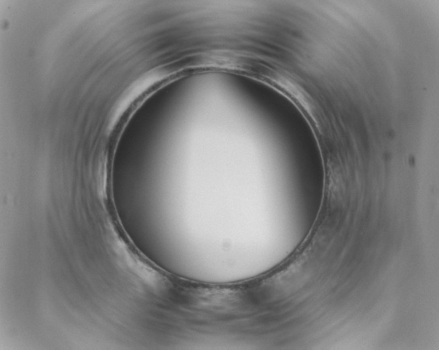 X0000089401131200706151220