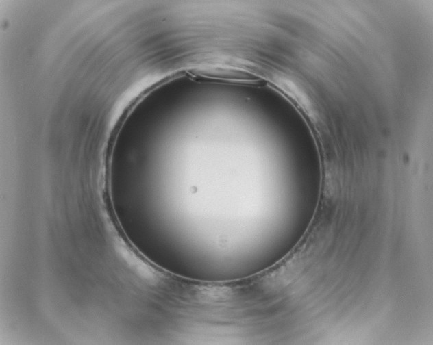 X0000089401136200706151220