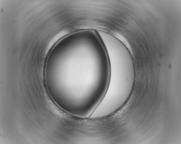 X0000089401138200706151220