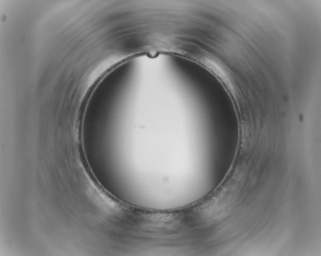 X0000089401141200706151220