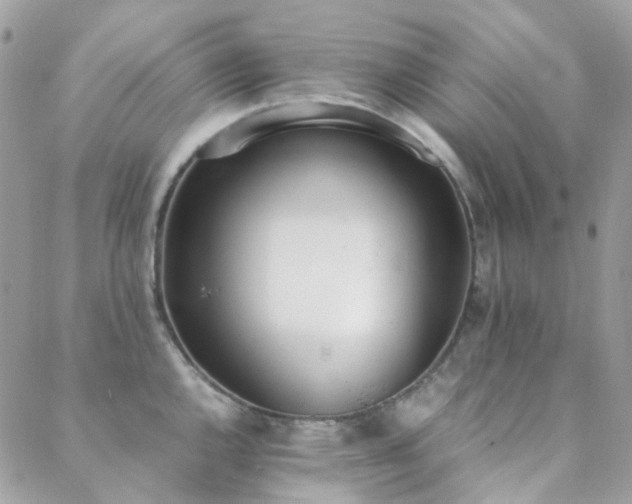 X0000089401144200706151220