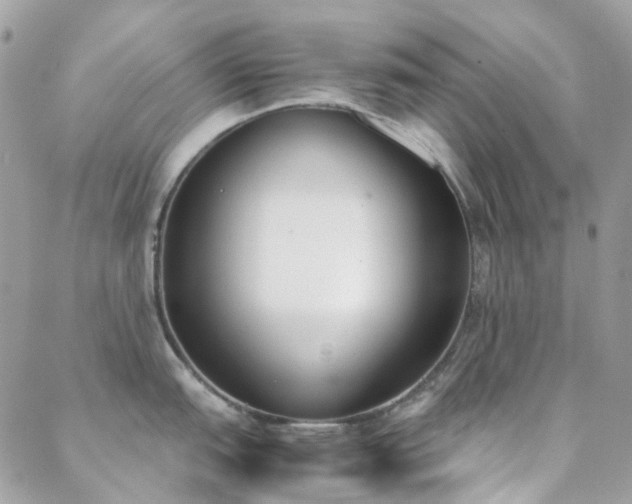 X0000089401151200706151220