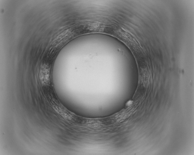 X0000089401154200706151219