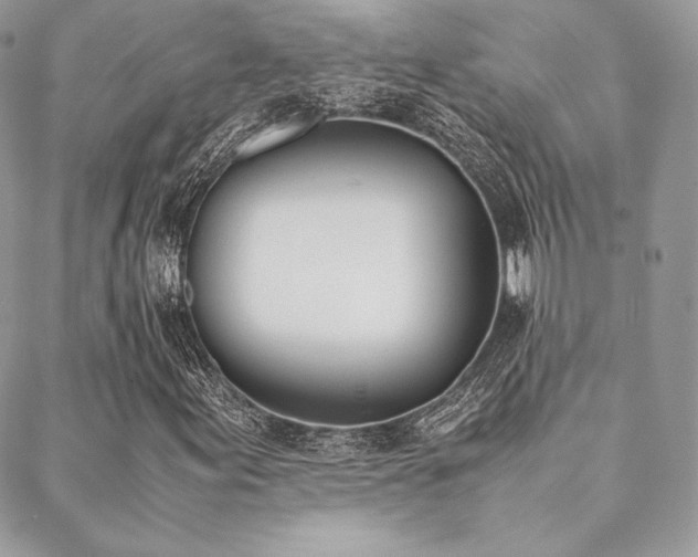 X0000089401155200706151219