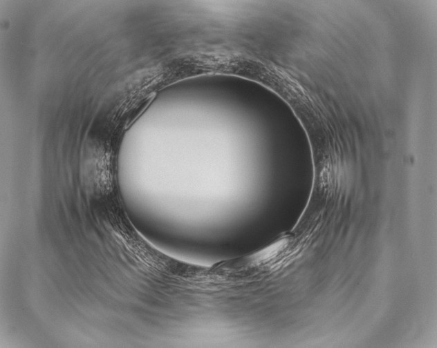 X0000089401156200706151219