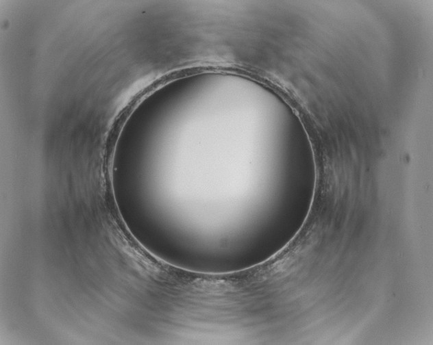 X0000089401168200706151219