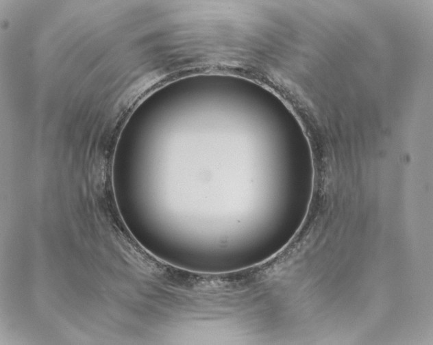 X0000089401169200706151219