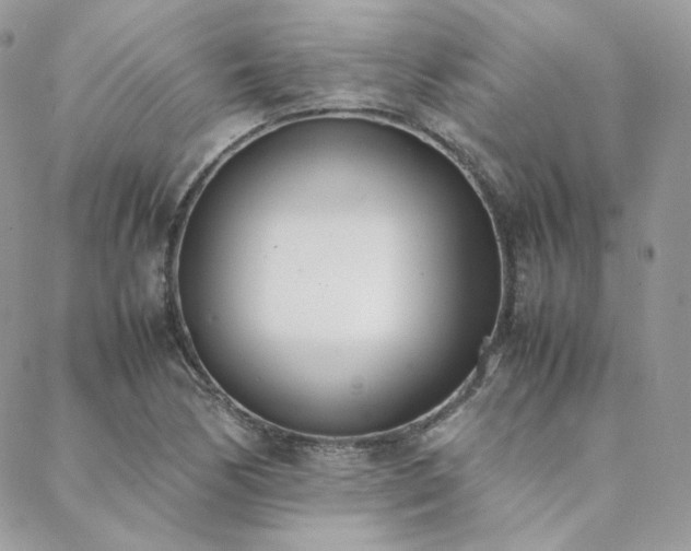 X0000089401170200706151219