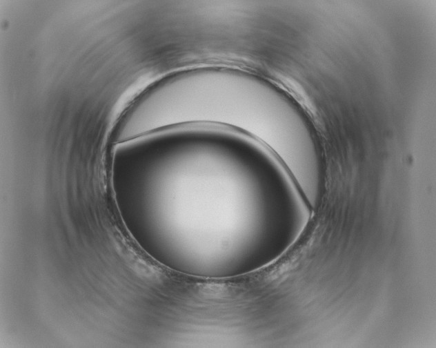 X0000089401172200706151219