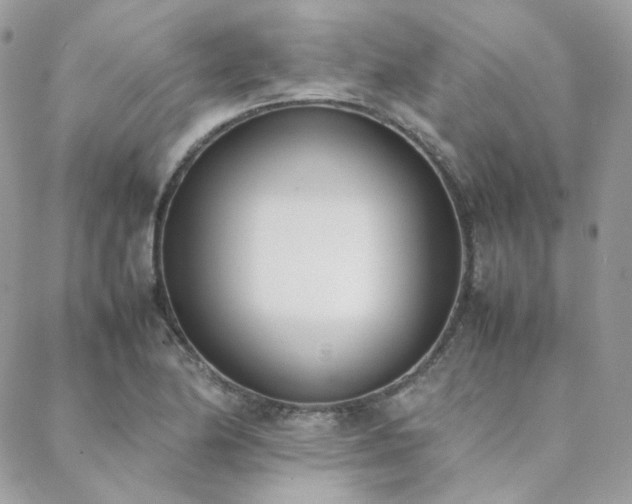 X0000089401174200706151219