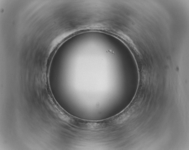 X0000089401176200706151219