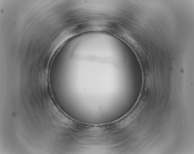X0000089401178200706151219