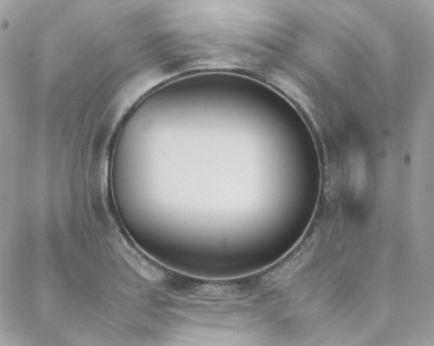 X0000089401179200706151219