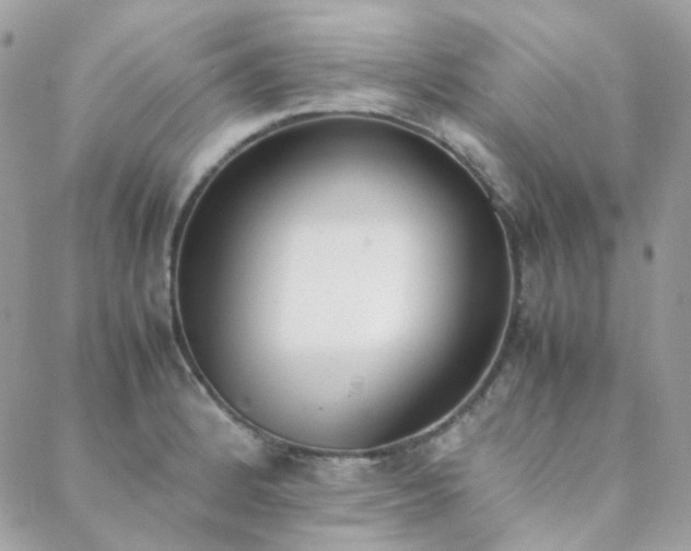 X0000089401184200706151219