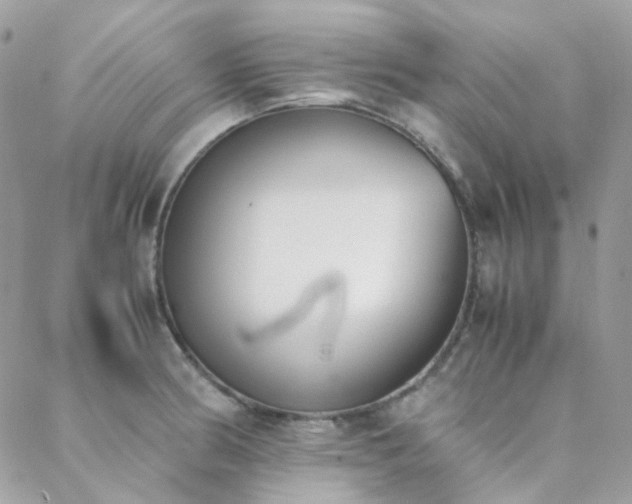 X0000089401186200706151219