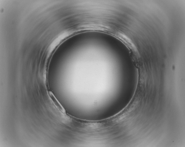 X0000089401188200706151219