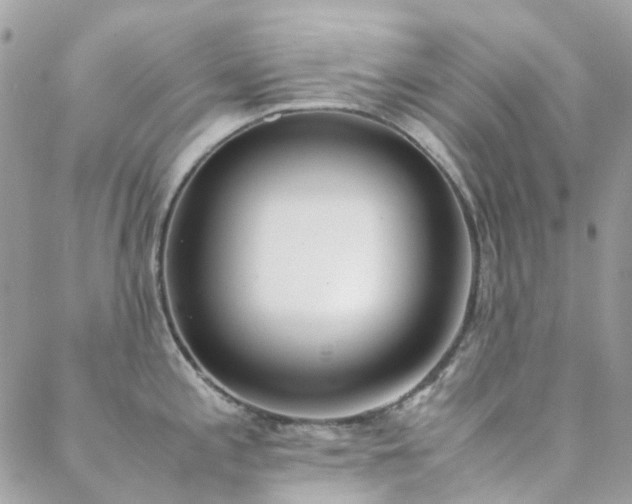 X0000089401197200706151219