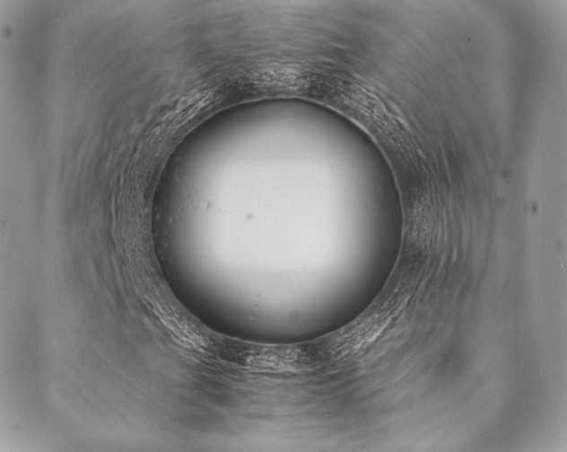 X0000089401201200706151218