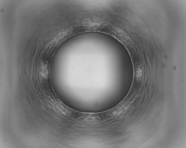 X0000089401204200706151218