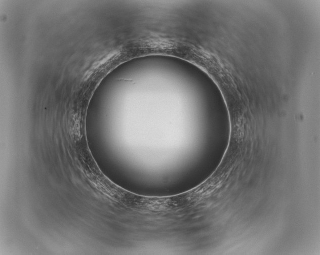 X0000089401205200706151218