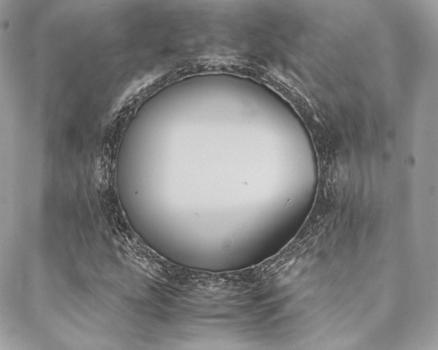 X0000089401207200706151218