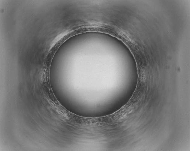 X0000089401208200706151218