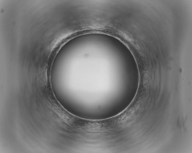 X0000089401214200706151218