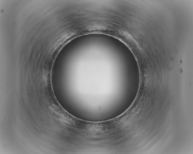 X0000089401217200706151218