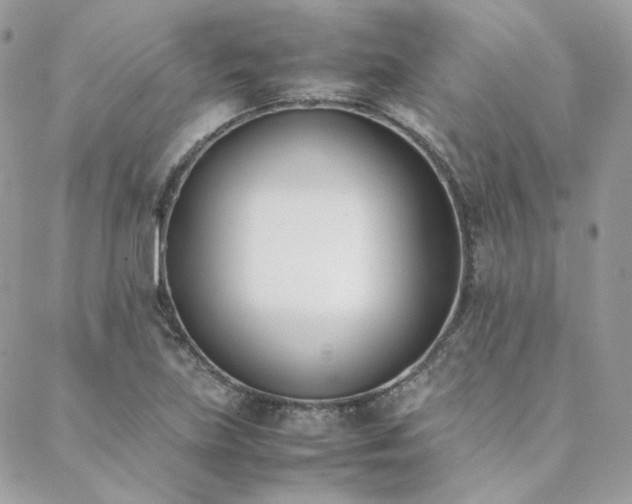 X0000089401219200706151218