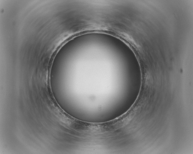 X0000089401220200706151218