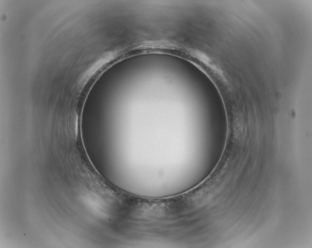 X0000089401221200706151218