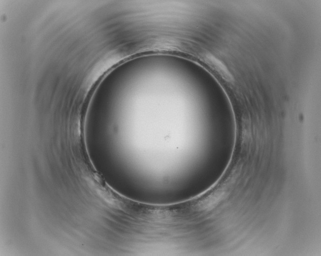X0000089401226200706151218