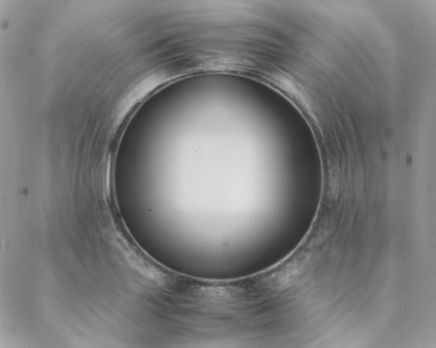 X0000089401227200706151218