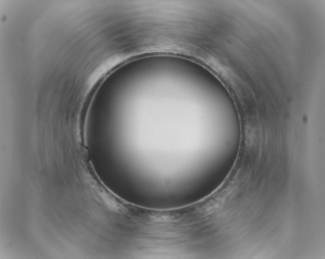 X0000089401230200706151218