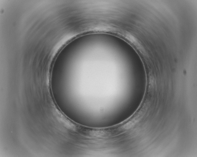 X0000089401232200706151218