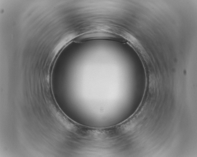 X0000089401234200706151218