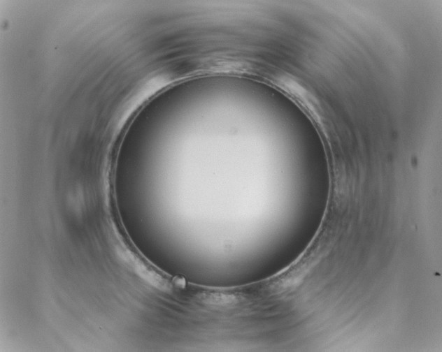 X0000089401235200706151218