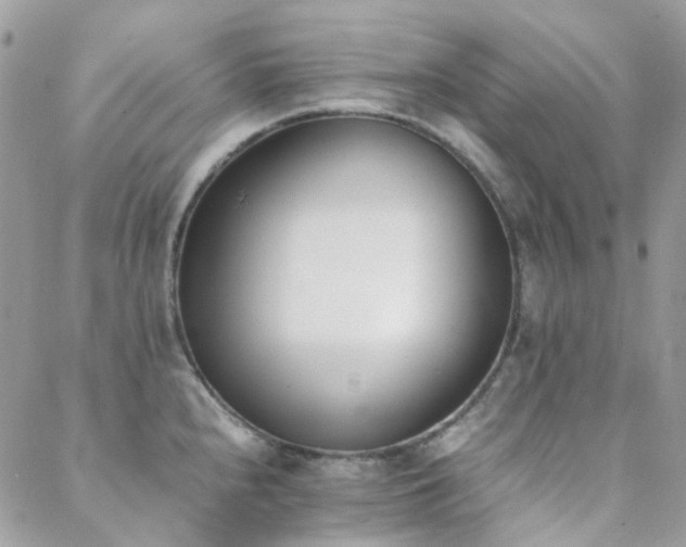 X0000089401240200706151219
