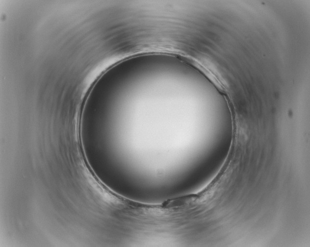 X0000089401246200706151219