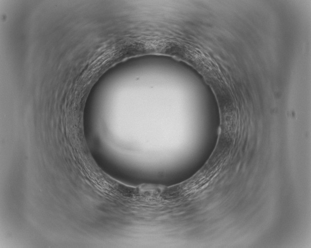 X0000089401249200706151218