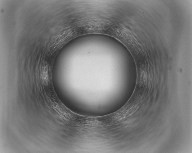 X0000089401250200706151218