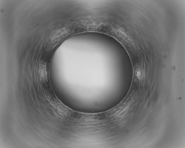 X0000089401252200706151218