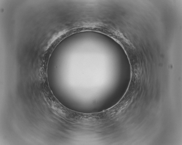 X0000089401256200706151218