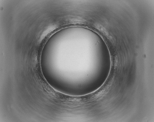 X0000089401261200706151218