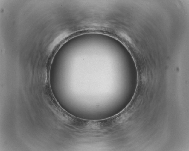 X0000089401267200706151218