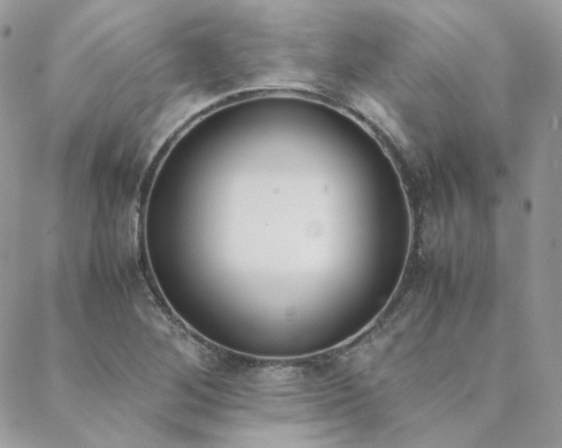 X0000089401268200706151218